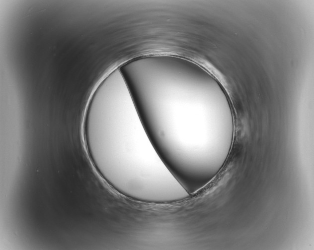 X0000098180909200804241028