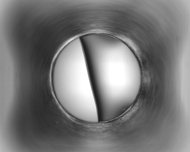 X0000098180910200804241028