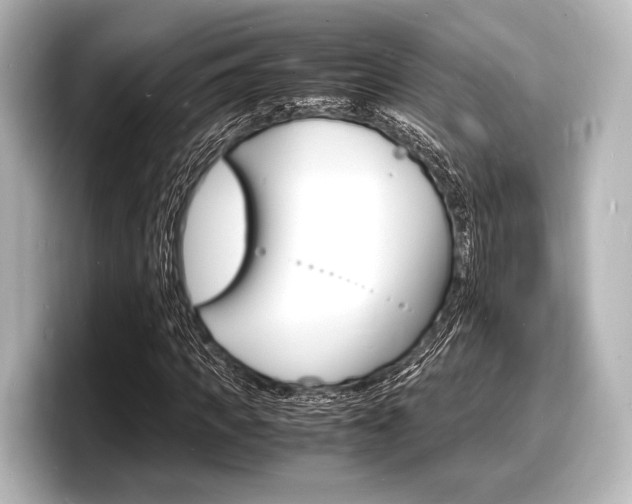 X0000098180917200804241027
