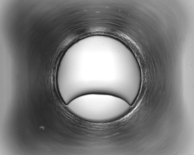 X0000098180921200804241027