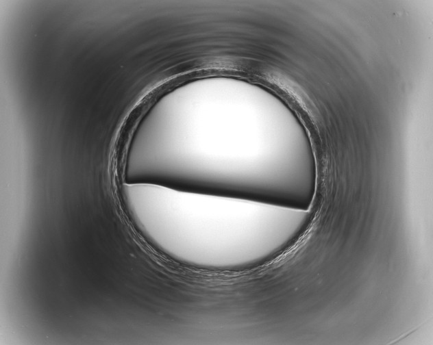 X0000098180923200804241027