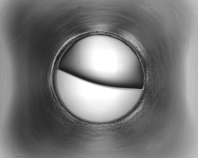 X0000098180924200804241027