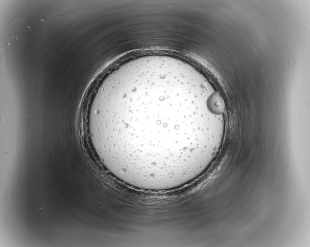 X0000098180925200804241027