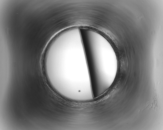 X0000098180926200804241027