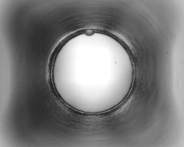 X0000098180927200804241027