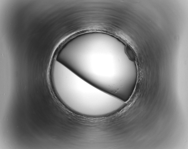 X0000098180928200804241027