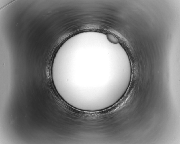 X0000098180929200804241027