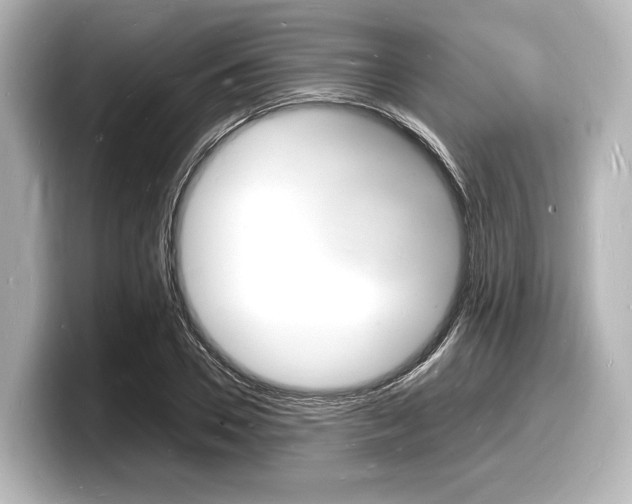 X0000098180930200804241027