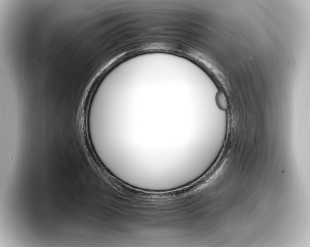 X0000098180933200804241027
