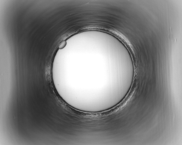 X0000098180937200804241027