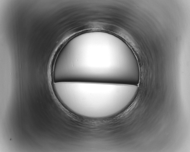 X0000098180939200804241027