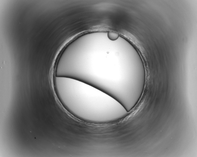 X0000098180941200804241027