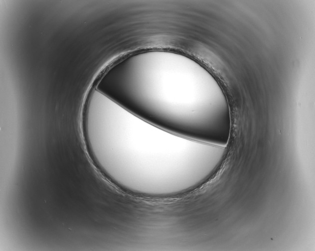X0000098180942200804241027