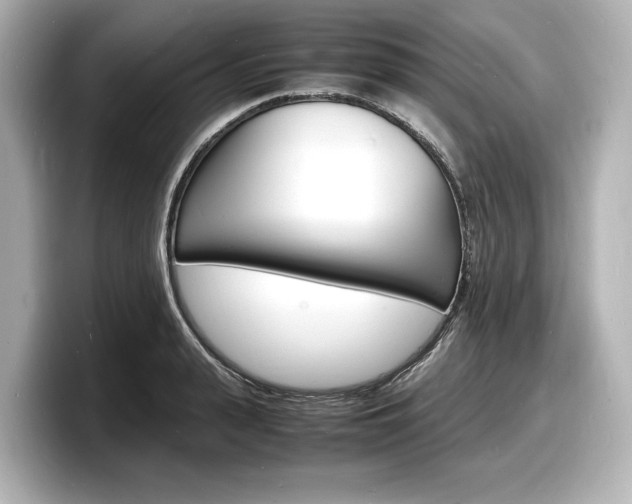 X0000098180943200804241027