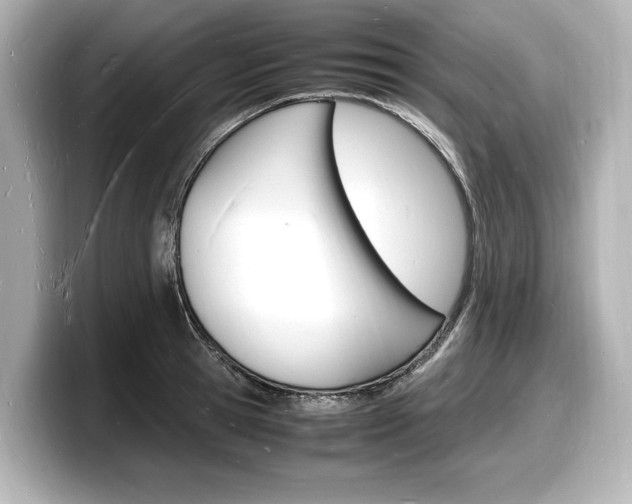 X0000098180945200804241027