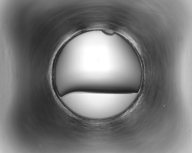 X0000098180949200804241027