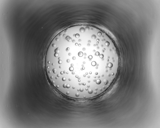 X0000098180953200804241027