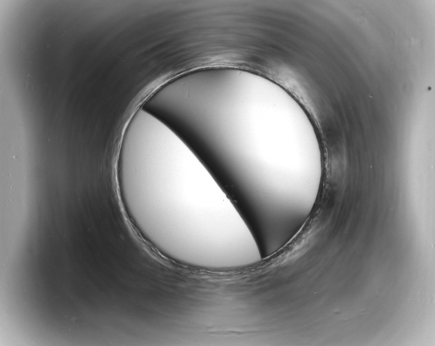 X0000098180954200804241027