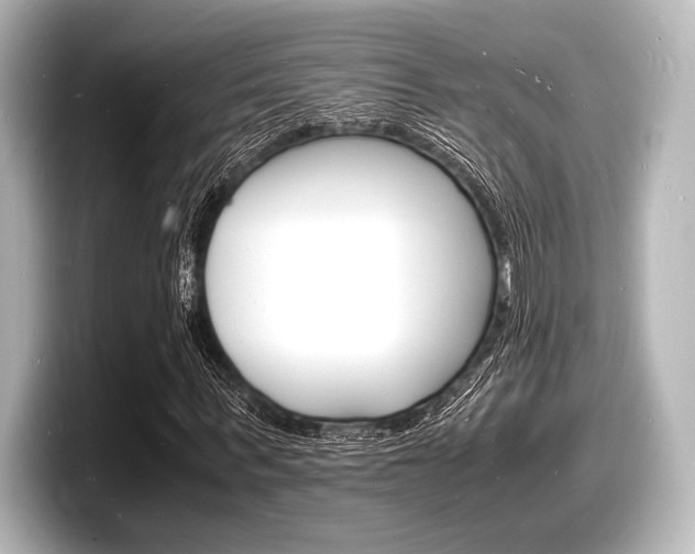 X0000098180963200804241027