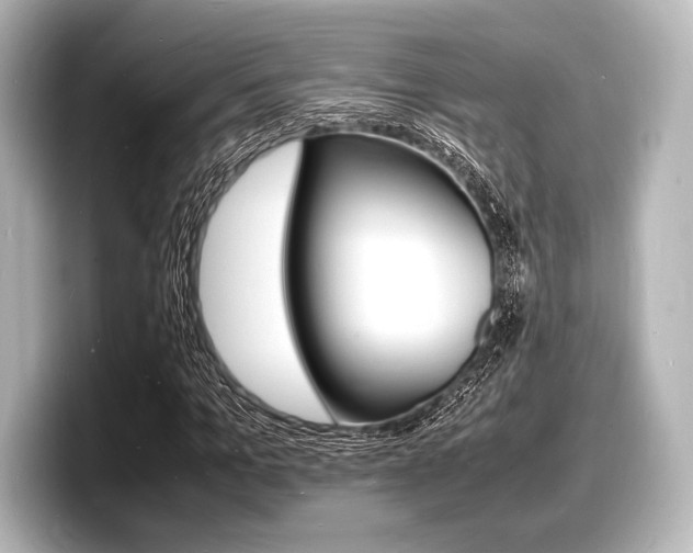 X0000098180965200804241027