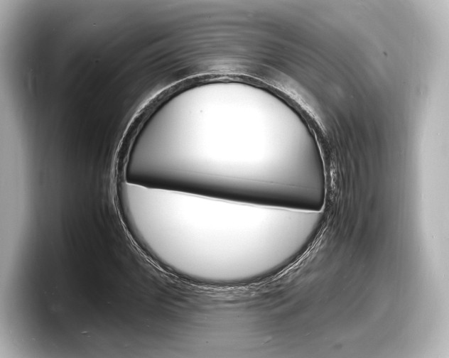 X0000098180972200804241027
