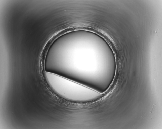 X0000098180973200804241027