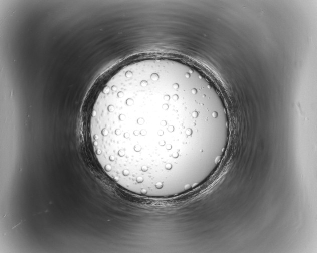 X0000098180974200804241027