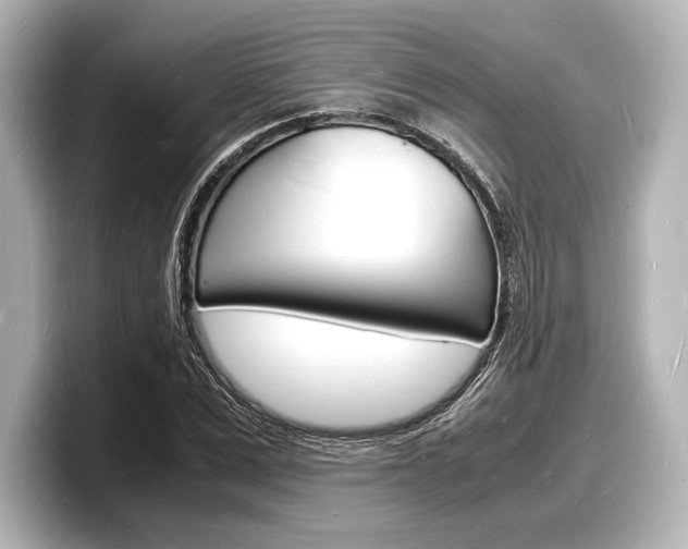 X0000098180975200804241027