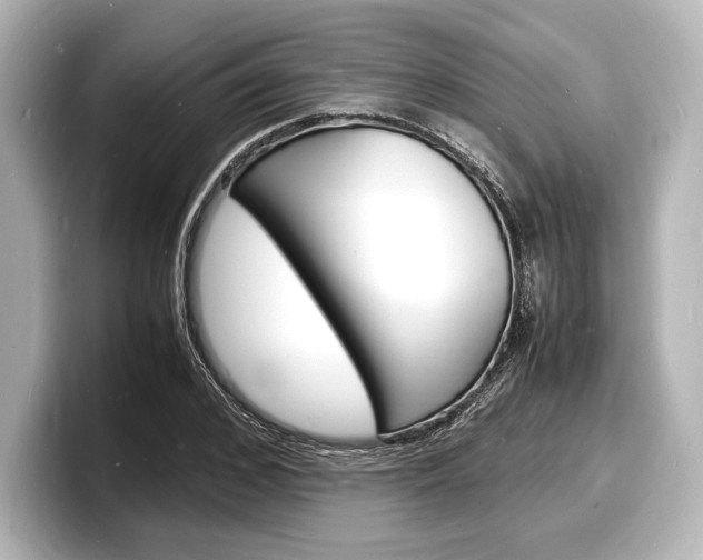 X0000098180976200804241027