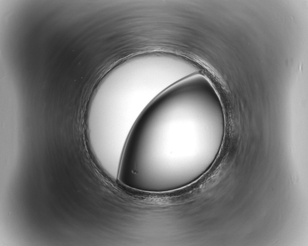 X0000098180977200804241027