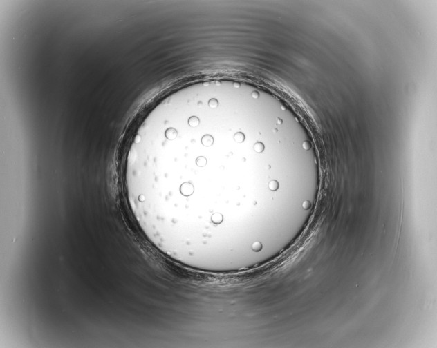 X0000098180978200804241027