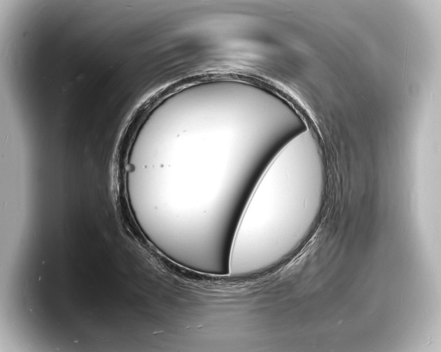 X0000098180979200804241027