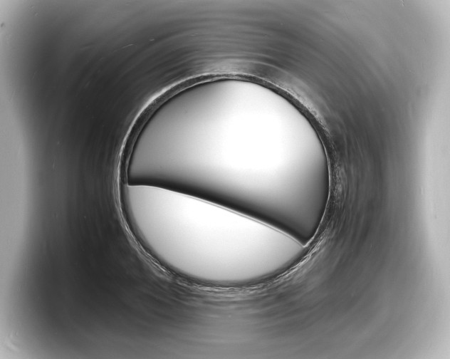 X0000098180980200804241027