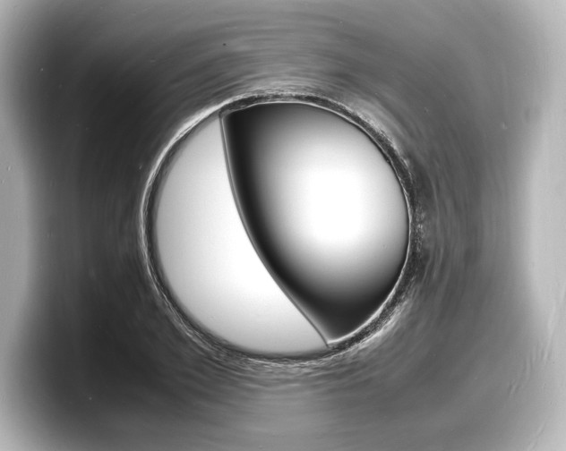 X0000098180981200804241027