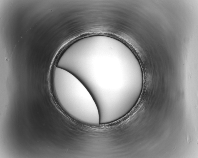 X0000098180982200804241027