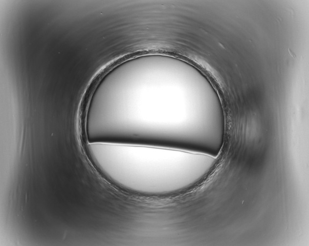 X0000098180983200804241027