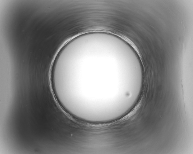 X0000098180989200804241026