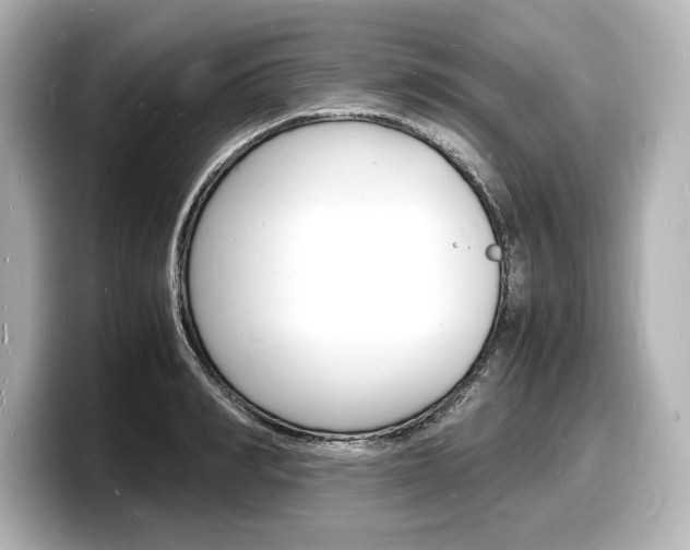 X0000098180990200804241026