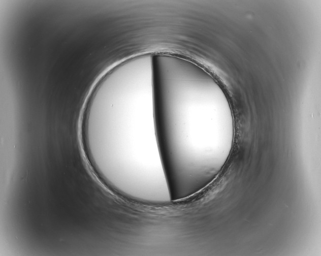 X0000098180991200804241026