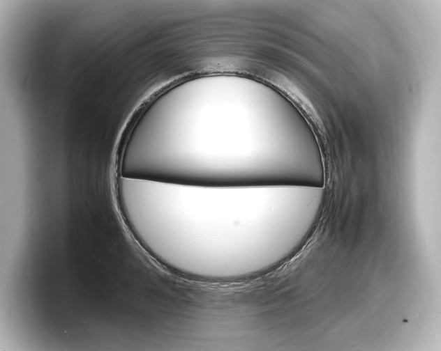 X0000098180992200804241026