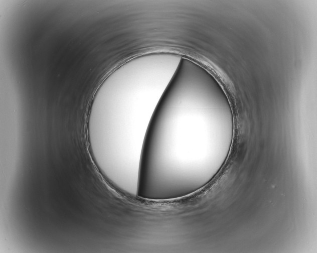 X0000098180993200804241026