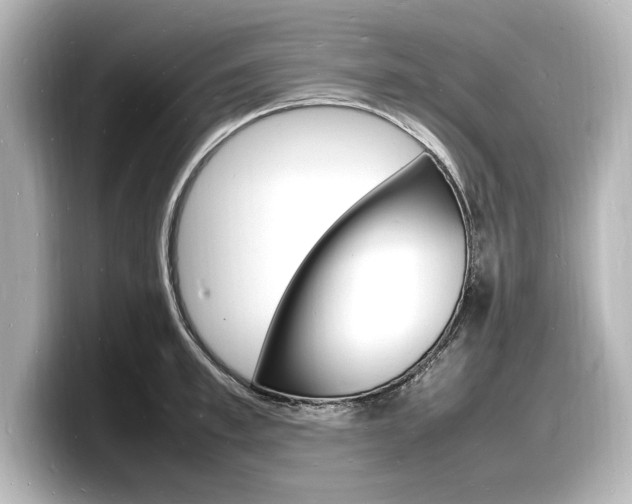 X0000098180997200804241026