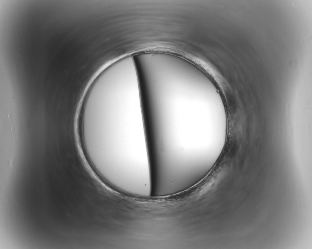 X0000098180999200804241026