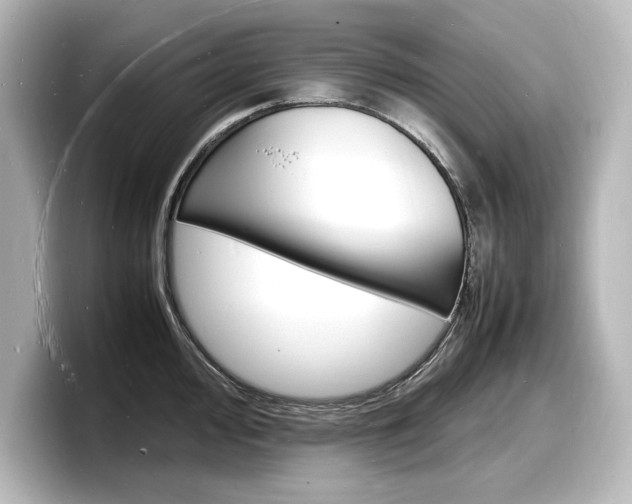 X0000098181000200804241026