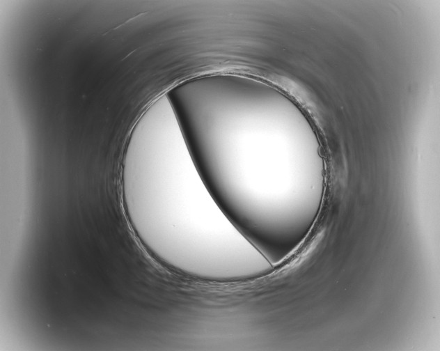 X0000098181001200804241026