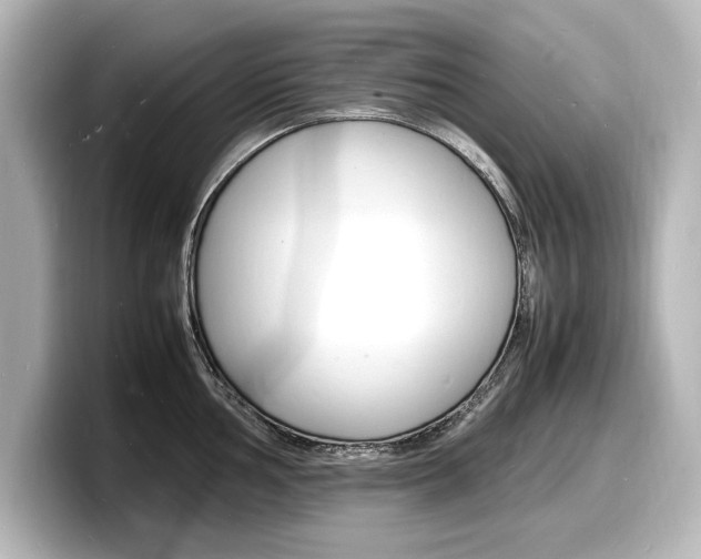 X0000098181002200804241026