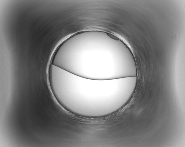 X0000098181003200804241026