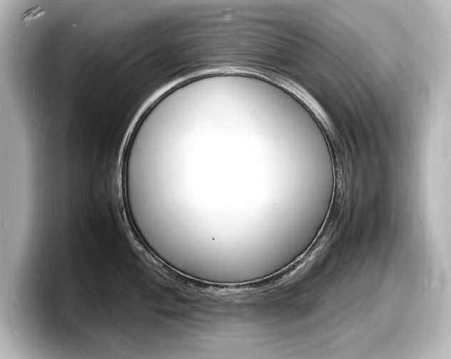 X0000098181004200804241026