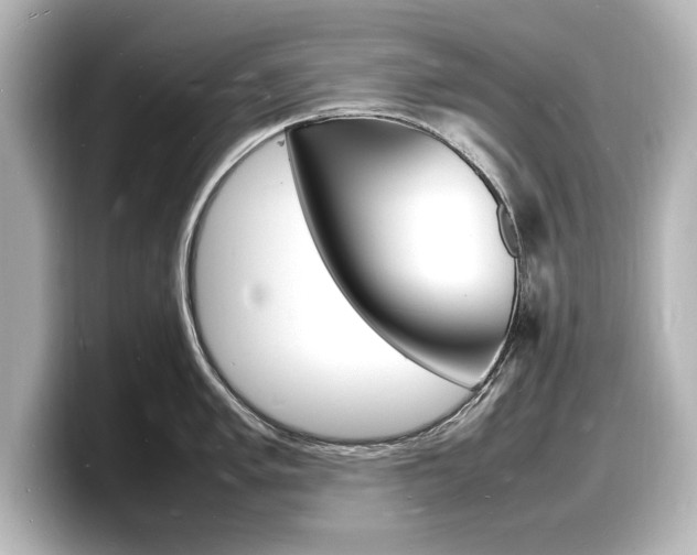 X0000098181005200804241026