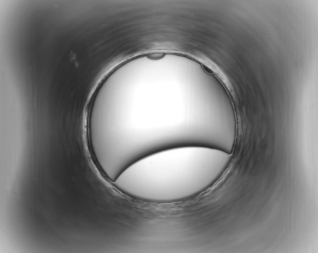 X0000098181006200804241026